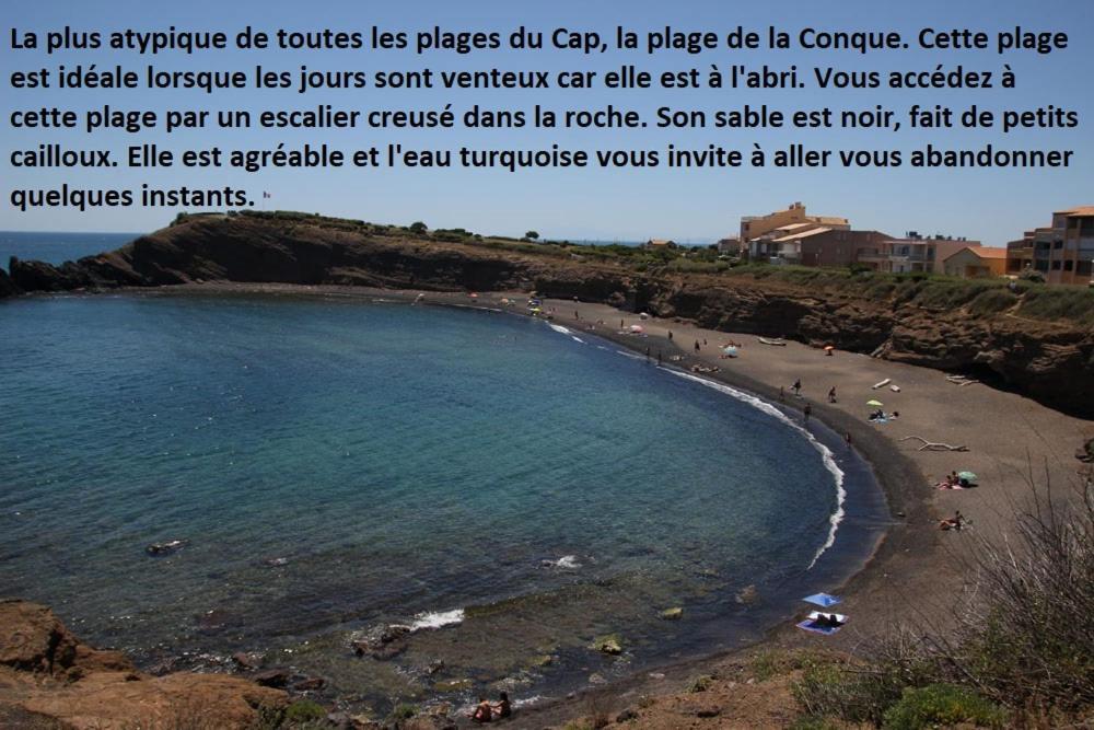 Apartmán Cap D'Agde 300M Plage Du Mole,Vue Port,Parking,Lave Linge,Piscine Exteriér fotografie